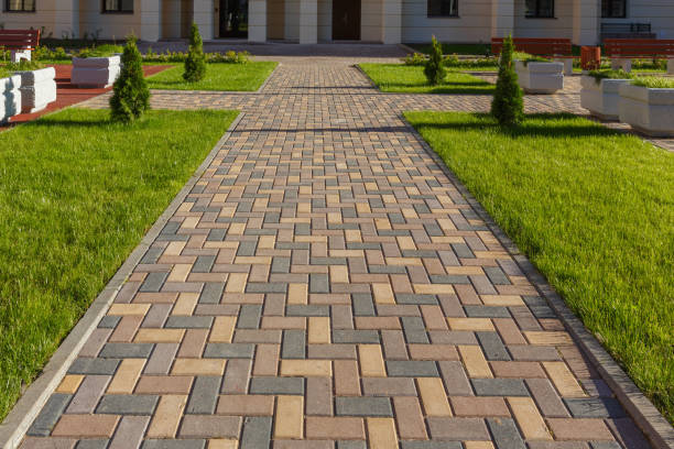 Best Driveway Pavers Near Me  in Montgomery, TX